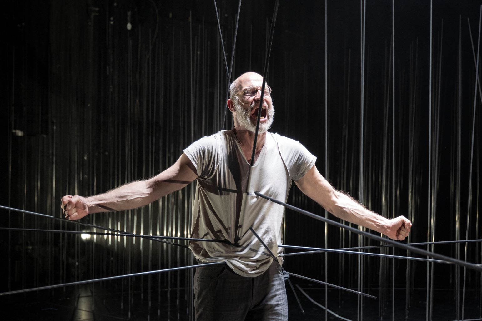 2024 - DIE VATERLOSEN